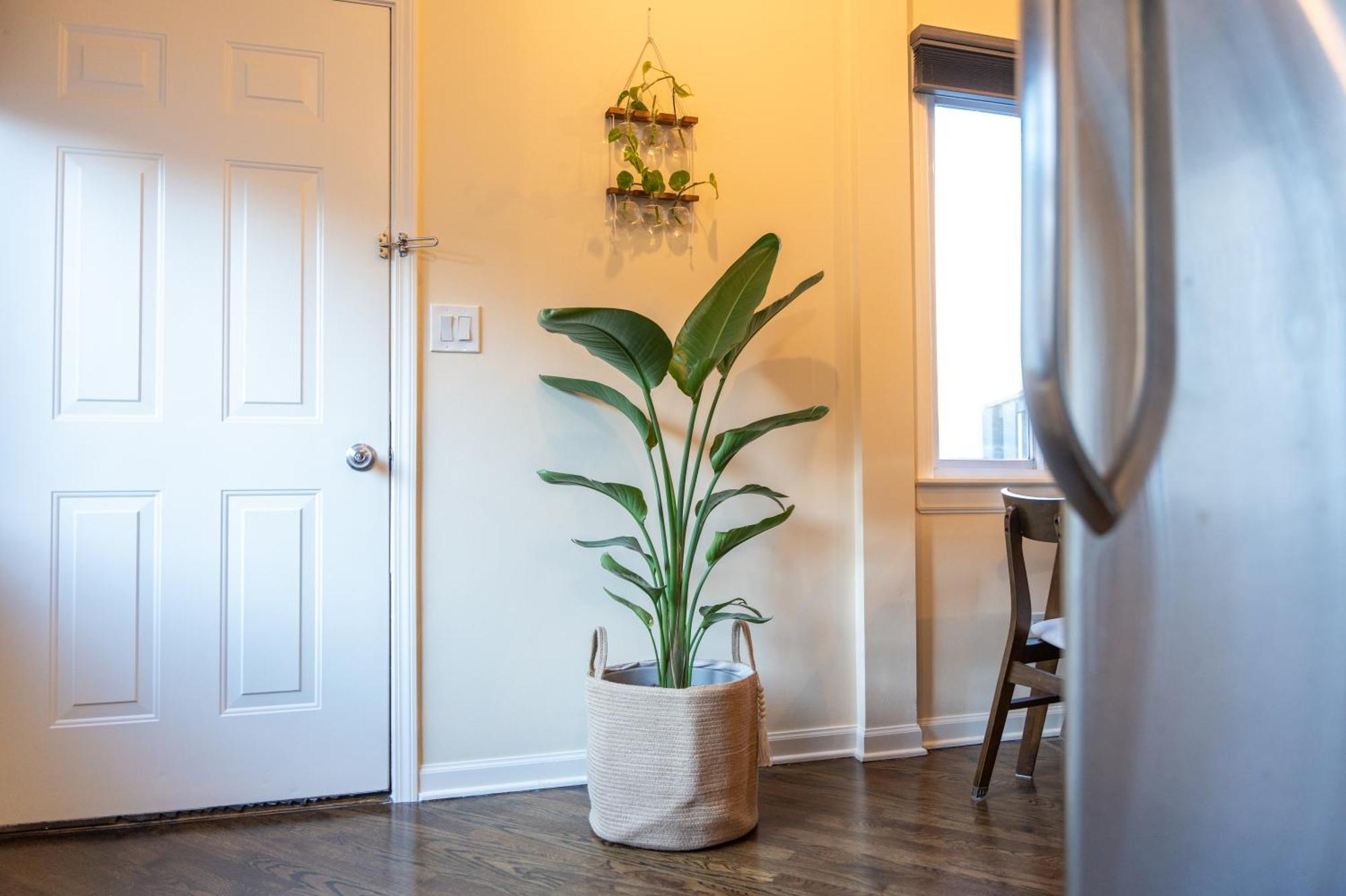 Bucktown Private Condo Chicago Dış mekan fotoğraf